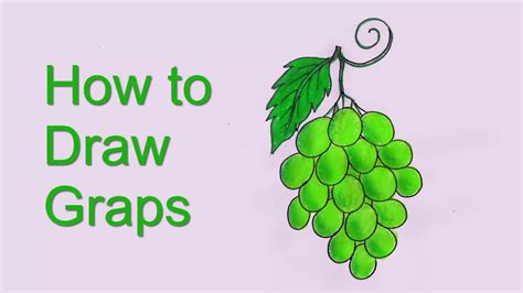 How to draw Grapes. Easy Grapes drawing step by step - YouTube