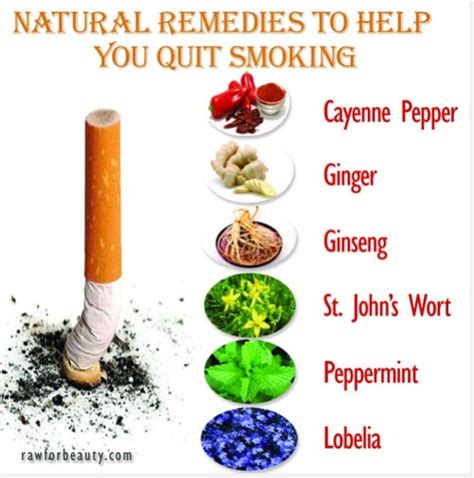 Quit Smoking Naturally: 25+ Ideas, Herbs, And Essential Oils To Help ...