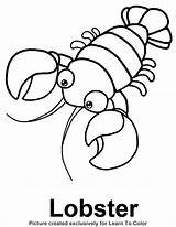 Lobster clipart coloring Page Transparent FREE  sketch template