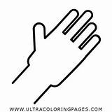 Hand Coloring Palm Handprint Template Hands Open Pages Drawing Facing  sketch template