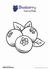 Blueberries Coloring Page sketch template