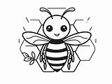 Beautiful Honey Bee To Color  Coloring Page sketch template