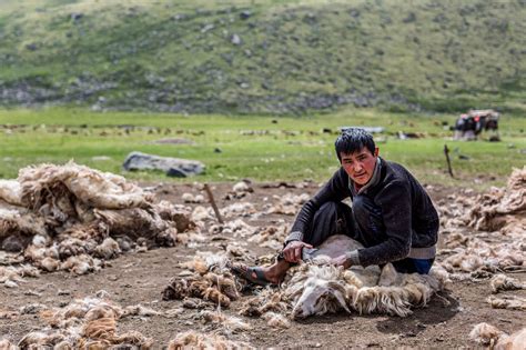 Photos: Inside the lives of Mongolia's nomads | Adventure.com