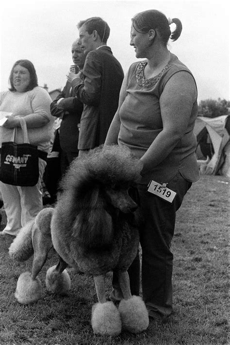 The In-Between: The 2014 annual Championship Dog Show