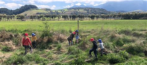 Waimakariri youth protect mudfish habitat with planting project | Environment Canterbury