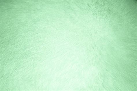 Light Green Texture HD wallpaper | Pxfuel