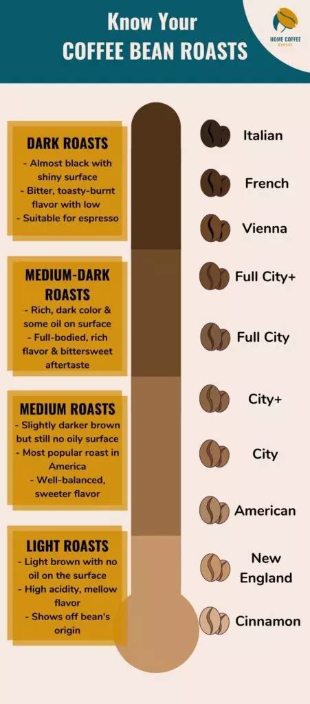 Ultimate Guide to Coffee Bean Roasts: Which One Is Best?