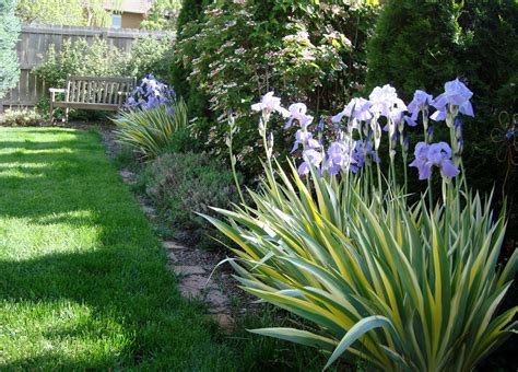 Lavender ..... and so much more: Mixed Border Ideas