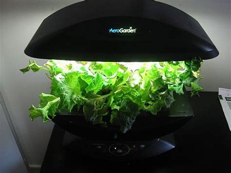 Under Indoor Grow Lights - Water, nutrients, and light are exactly what plant needs to grow ...