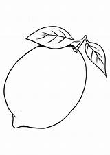 Lemon Tree Coloring Pages sketch template
