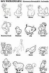 Animals domestic animals Wild Farm Pets  Animal sketch template