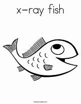 X Ray Fish Coloring Page  Coloring Home sketch template