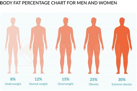 Body Fat Percentage Chart for Men and Women by Age