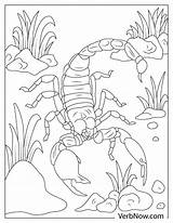 Get Over Here Scorpion Coloring Pages sketch template