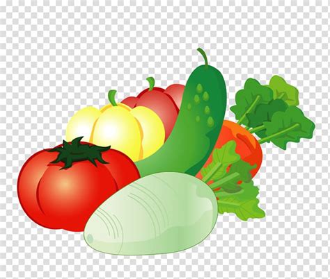 Download High Quality vegetables clipart transparent background ...