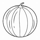 Premium Vector  Cantaloupe coloring Page vector Illustration sketch template