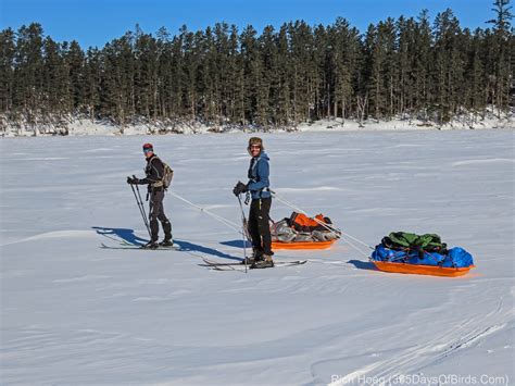 BWCA Boundary Waters Winter Camping Trek - 365 Days of Birds