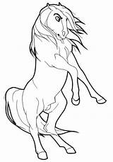 Spirit Stallion Of The Cimarron Coloring Pages At GetColoringscom  sketch template