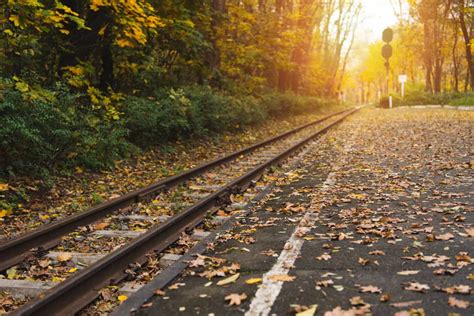 Fall Train Rides in Ohio - Hop Aboard to See Fall Foliage in All Its Glory! · 365 CINCINNATI