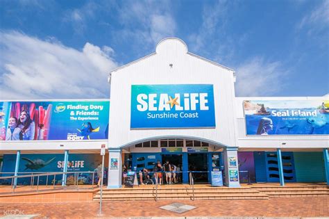 Underwater World SEA LIFE Mooloolaba Admission Ticket - Sunshine Coast ...