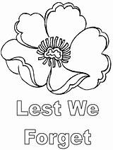 Poppies Templates Forget Colours Autumn Crafts Schools Poppy  sketch template