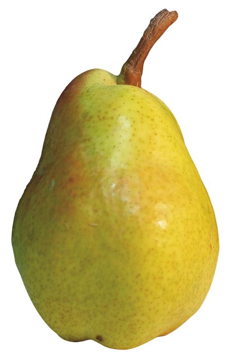 Asian Pear PNG Pic | PNG Mart
