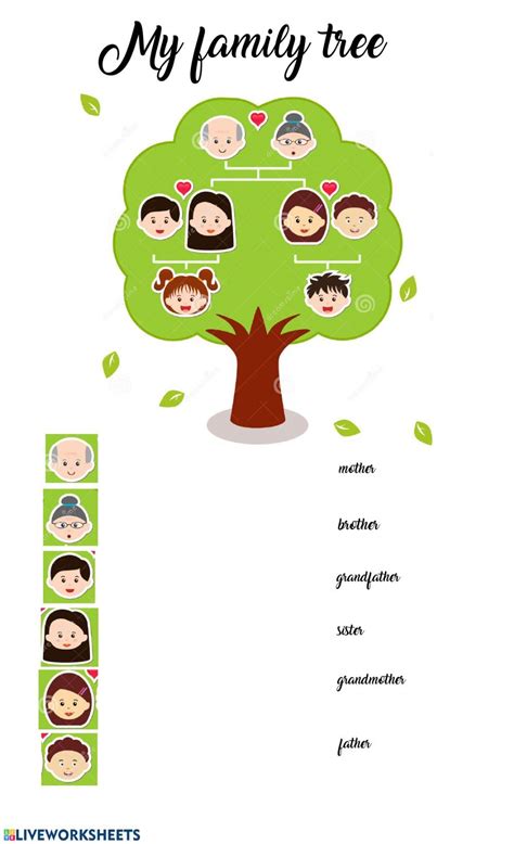a family tree with the names and pictures on it