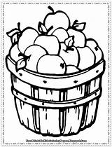 Apple Coloring Sheet Free Printable sketch template