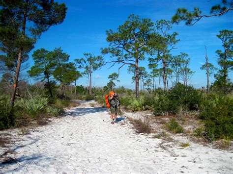 Florida Trail | Cross Florida Greenway | backpacking hiking | Florida Hikes