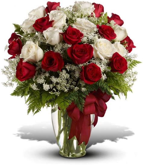 Divine Love Red and White Two Dozen Rose Bouquet - Bridgewater Florist