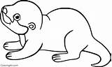Adorable Baby Otter Coloring Pages Unleash Creativity And Imagination  sketch template