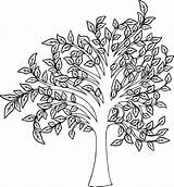 Fall Tree Coloring Page For Kids  Free Printable sketch template