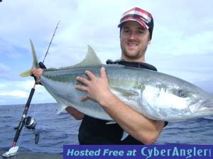 New Zealand kingfish season in full swing!