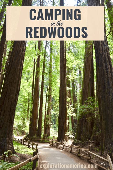 Camping in the Redwoods - Tent Sites & Campgrounds We Stayed At