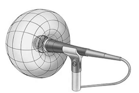 Cardioid vs Supercardioid Mic: The Key Differences Explained