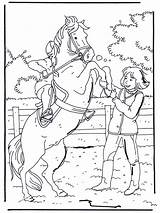 Coloring Paarden Kleurplaat Paard Pferde Veulen Dieren Pferd Equine  sketch template