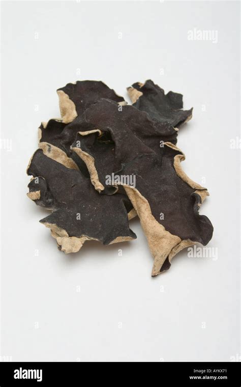 closeup of dried wood ear fungus used in chinese cooking Stock Photo ...