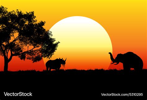 African safari scene at sunset Royalty Free Vector Image