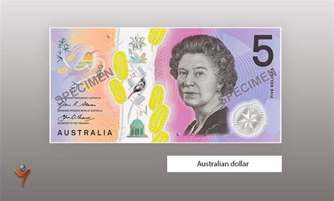 Polymer banknotes: which countries use them | PaySpace Magazine