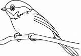 Bird Coloring Pages For Preschoolers  Home sketch template