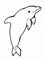 Printable Dolphin Coloring Pages – ColoringMecom sketch template