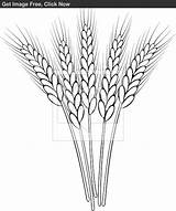 Bag Of Grain Coloring Page Pages sketch template