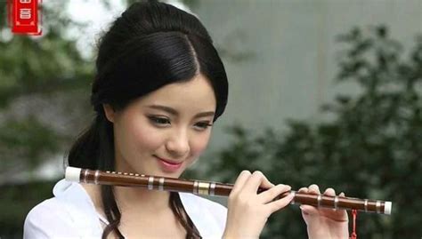 Features of the Chinese Flute - Digital School