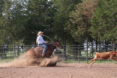 Calf Roping on Roping.com