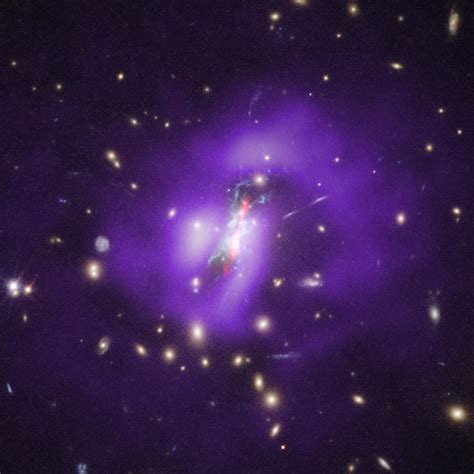 Furious Rate of Star Formation Driven by a Weakened Black Hole