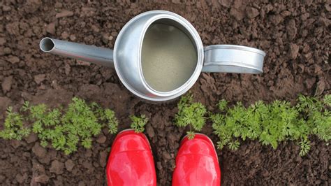 6 Different Gardening Soil Types (Explained) - Little Leafy