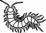 Centipede Coloring Pages Free sketch template