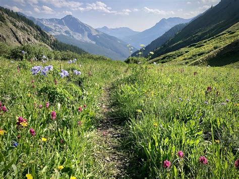 Colorado wildflowers – iRunFar