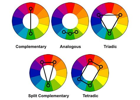 Split Complementary Colors In Nature