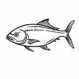 Tuna Fish Coloring Page sketch template